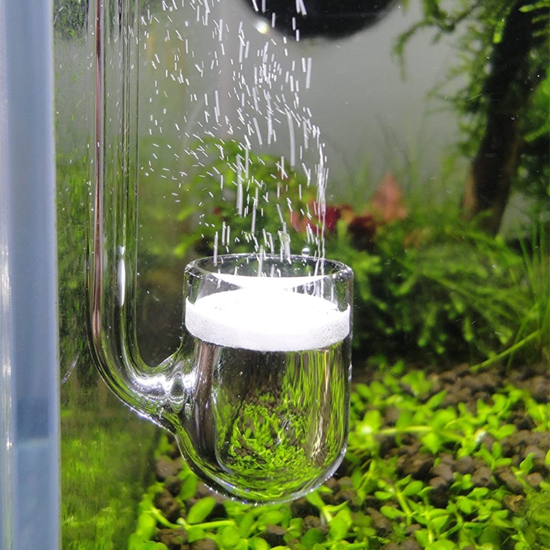 Aquarium Marine Plants - D0AD ガラス CO2 ディフューザー 水槽用 植栽型