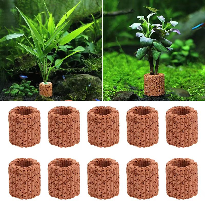 Marine Aquarium Hobby - 水生植物固定リング水族館風景セラミック水植物ポットリングツール装飾水槽アクセサリー