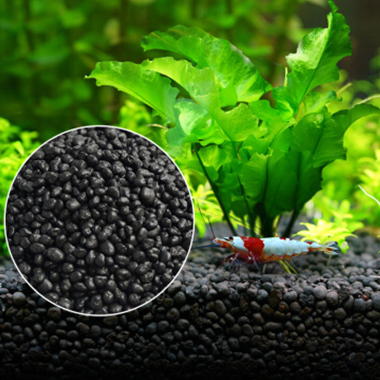 Aquarium Marine Plants - 水族館植物の種子,水槽の素材,砂,土壌肥料,魚の手入れ,淡水水族館の付属品
