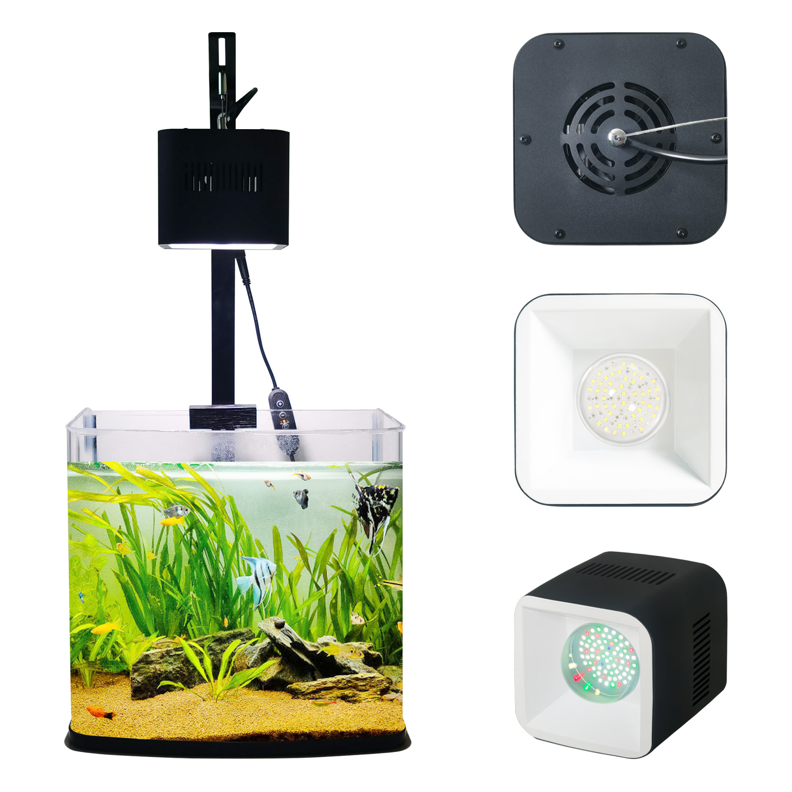 8H 10H 12H タイマーパネル リーフマリンコーラルブ - Aquarium Marine Salt のレビューと価格