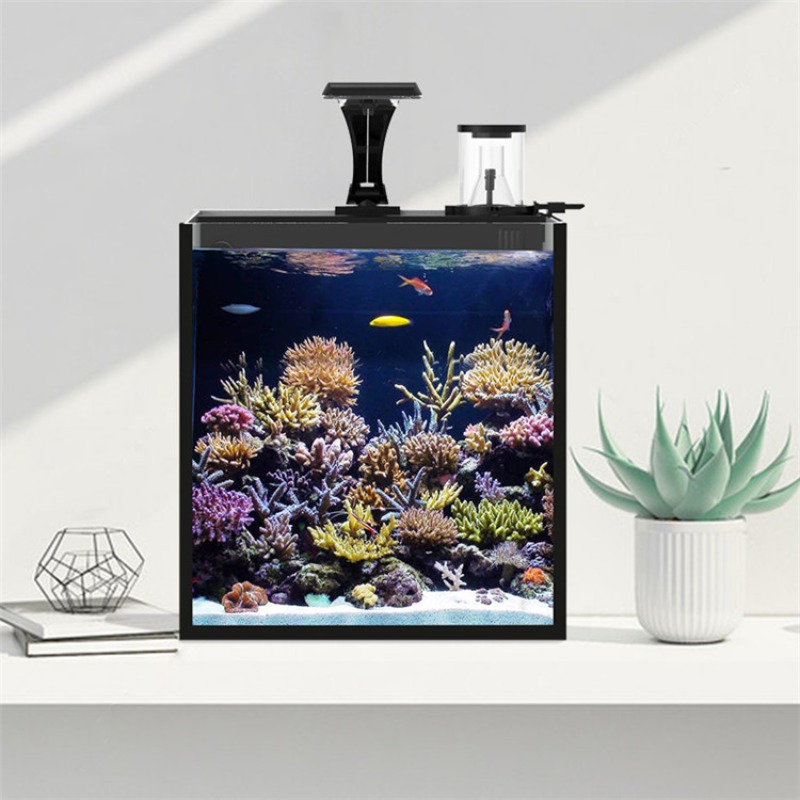 超透明ガラス製ミニ海水魚水槽 - Aquarium Marine Salt のレビューと価格