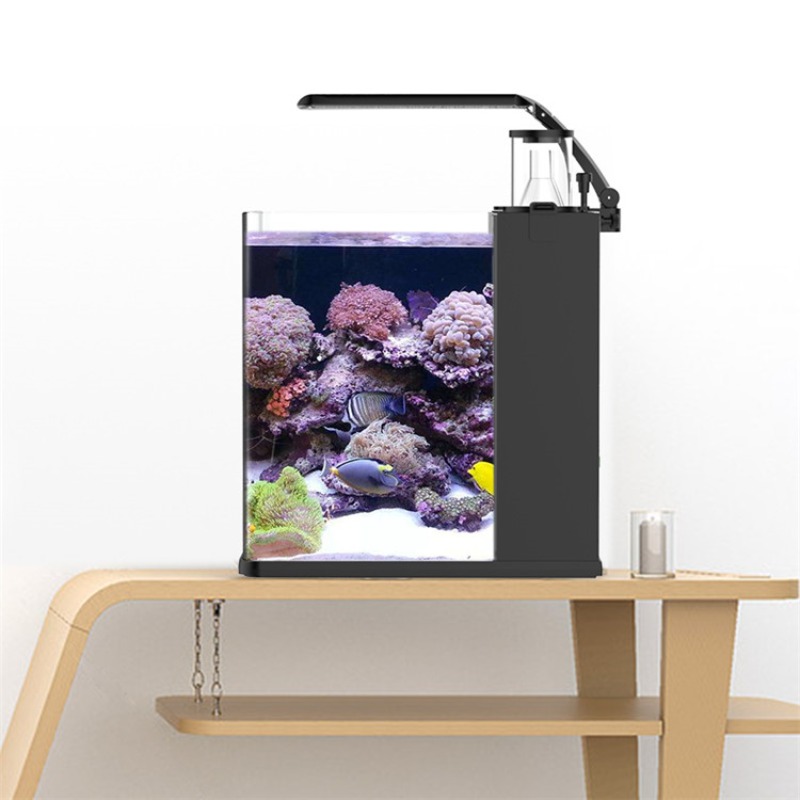 超透明ガラス製ミニ海水魚水槽 - Aquarium Marine Salt のレビューと価格
