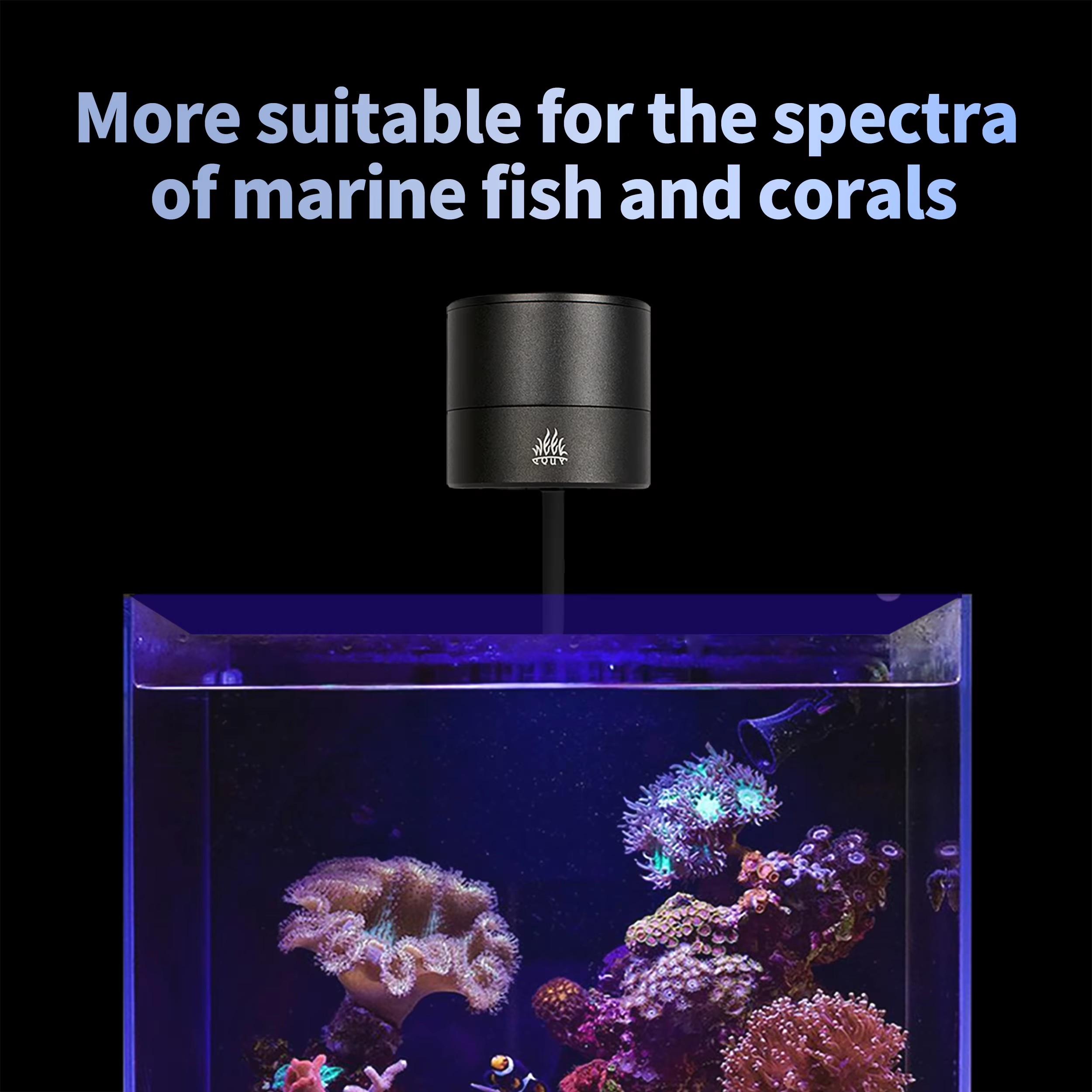 WEEK AQUA水槽ライトメーカー ブルーリーフライト L - Aquarium Marine Salt のレビューと価格