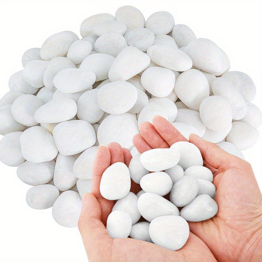 200/400g ホワイト高研磨天然玉石 2-3cm 中庭景 - Aquarium Marine Plants のレビューと価格