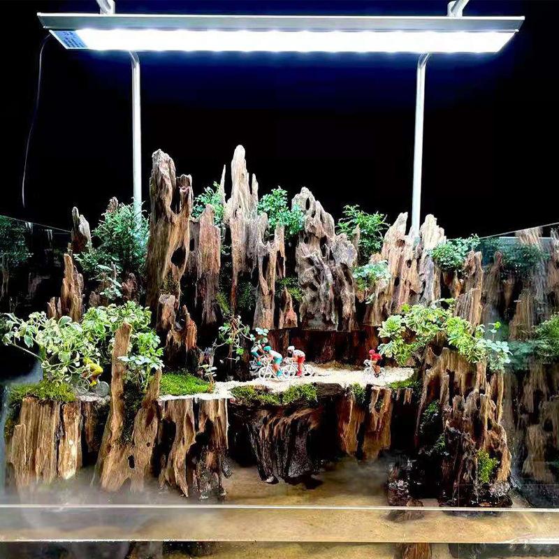 △   エビの木製水槽装飾品、天然の穴が付いた水槽用の流木水 - Marine Aquarium Hobby のレビューと価格