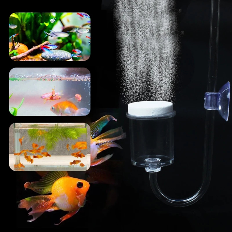 水族館用CO2ディフューザー,日曜大工のガラスタンク,バブル - Aquarium Marine Plants のレビューと価格